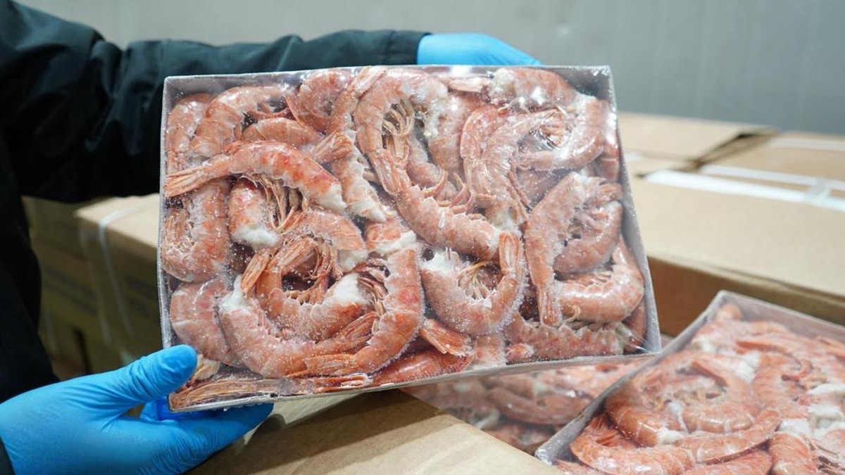 KKP Amankan 1.048 Ton Udang Impor Ilegal, Begini Kata-Kata Trenggono