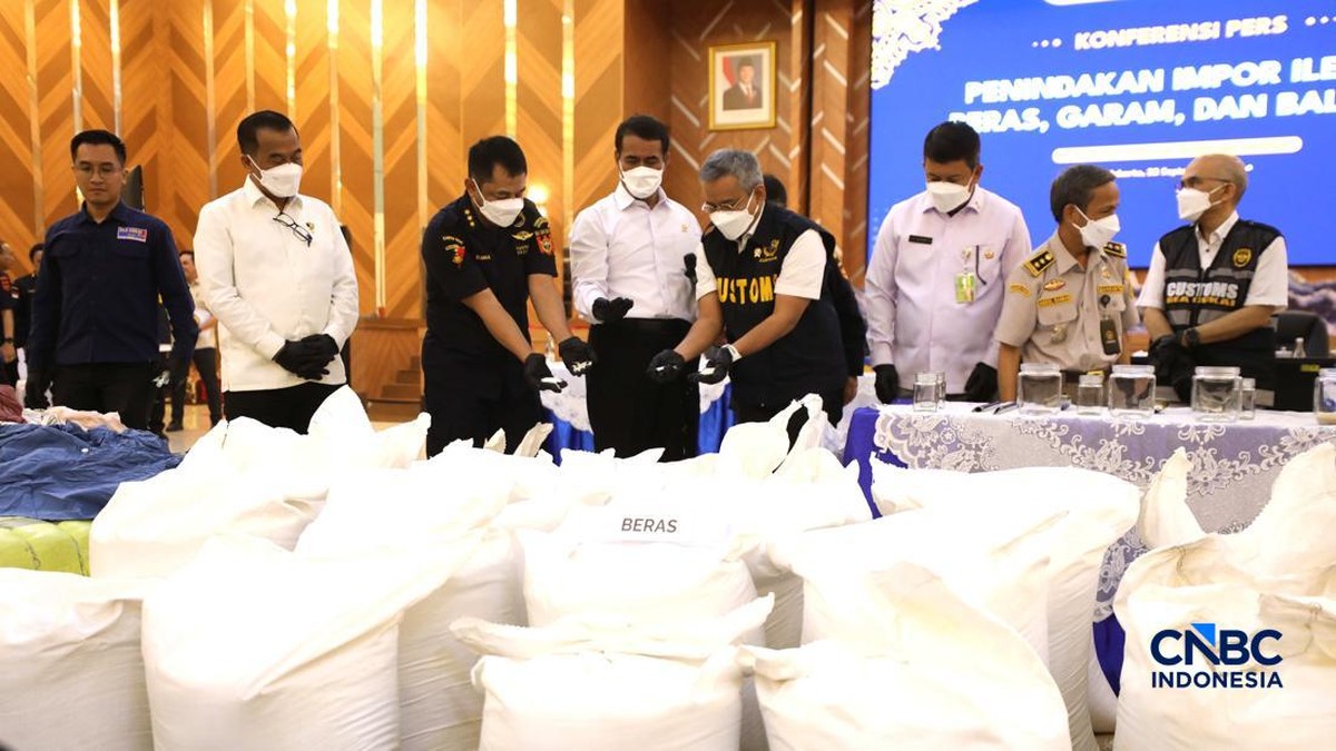 30 Kontainer Beras Impor Ilegal Masuk RI, Amran: Sangat Keterlaluan!