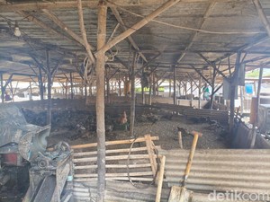 Bau Peternakan Bebek Ganggu Warga Perumahan Sidoarjo, Ini Respons DLHK