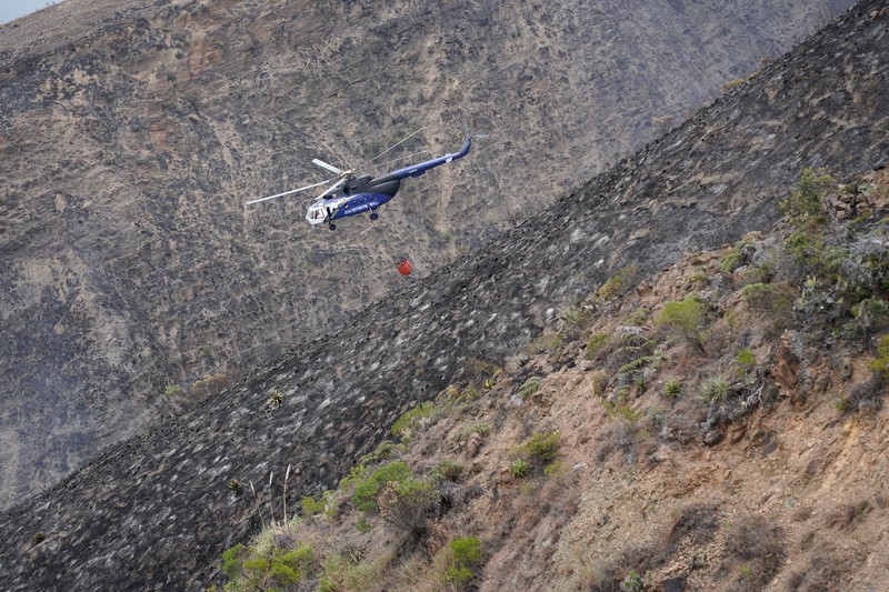 Warga menggunakan ranting pohon untuk memadamkan kobaran api saat berjuang memadamkan kebakaran hutan di Villa de Leyva, Kolombia, pada 21 September 2026. (REUTERS/Sergio Acero)