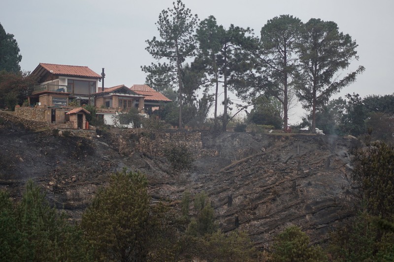 Warga menggunakan ranting pohon untuk memadamkan kobaran api saat berjuang memadamkan kebakaran hutan di Villa de Leyva, Kolombia, pada 21 September 2026. (REUTERS/Sergio Acero)