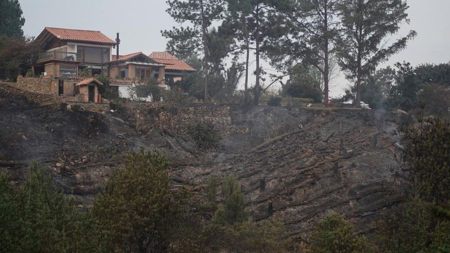 Vegetasi hangus dan asap di dekat sebuah rumah setelah kebakaran hutan di Villa de Leyva, Kolombia, 21 September 2026.