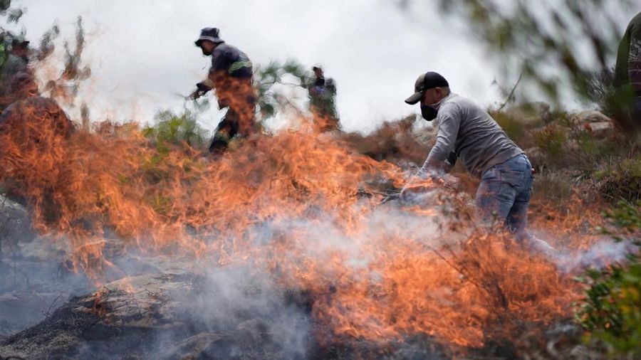 Warga menggunakan ranting pohon untuk memadamkan kobaran api saat berjuang memadamkan kebakaran hutan di Villa de Leyva, Kolombia, pada 21 September 2026. (REUTERS/Sergio Acero)