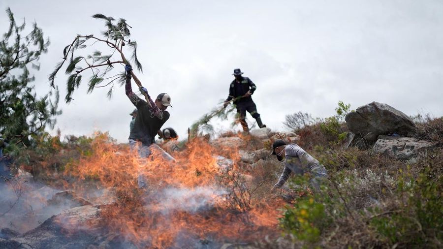 Warga menggunakan ranting pohon untuk memadamkan kobaran api saat berjuang memadamkan kebakaran hutan di Villa de Leyva, Kolombia, pada 21 September 2026.