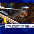 El Nino Ganggu Produksi - Kebutuhan B50 Melonjak, Harga Minyak Sawit Lanjut Naik?