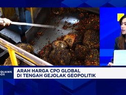 El Nino Ganggu Produksi - Kebutuhan B50 Melonjak, Harga Minyak Sawit Lanjut Naik?