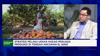 Genjot Produksi Kakao Lokal, Petani Butuh Akses Pupuk, Bibit Unggul - Akses Pembiayaan