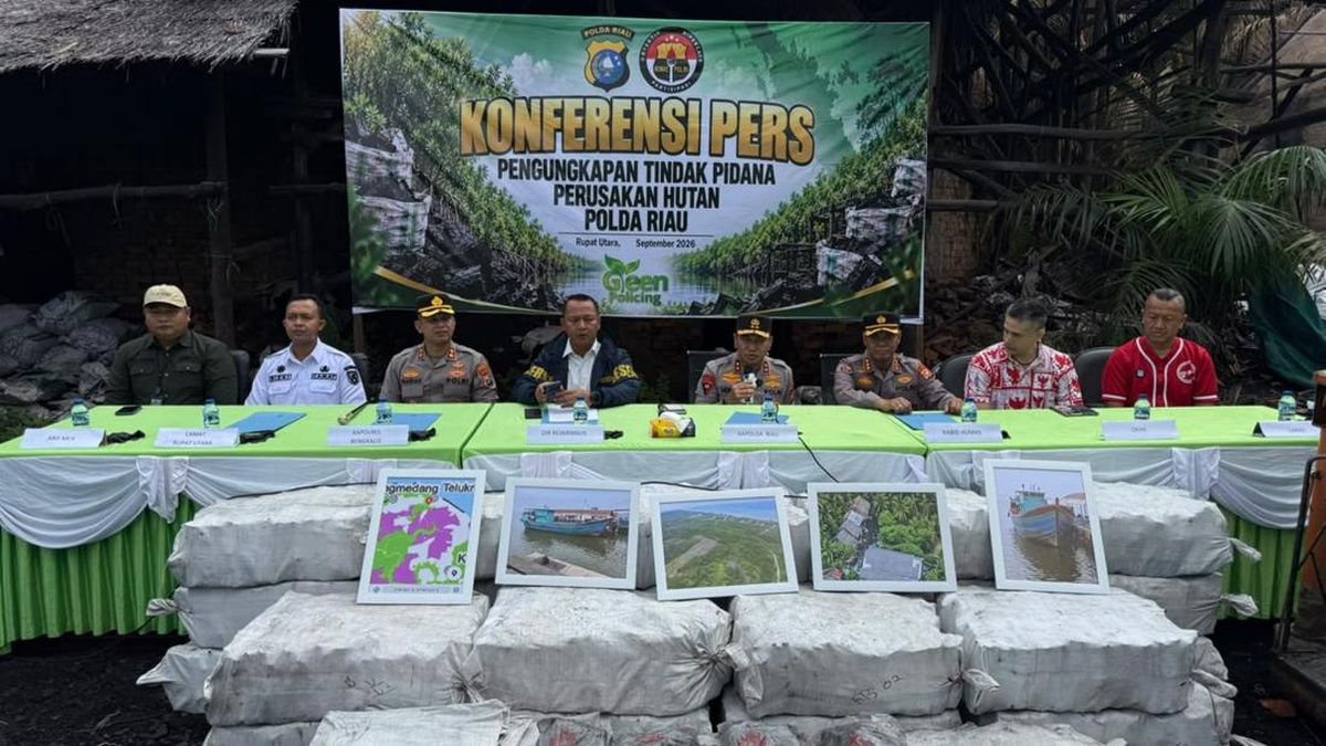Polda Riau Bongkar Pabrik Arang Bakau Ilegal di Pulau Rupat, 114 Ton Disita