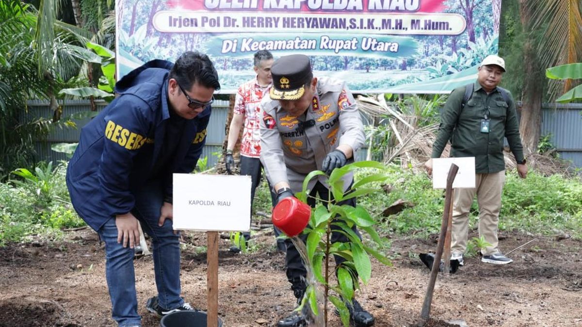 Polda Riau Restorasi Mangrove yang Dirusak di Pulau Rupat