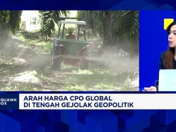 Risiko El Nino - Progam B50, Gimana Nasib Harga & Produksi CPO Indonesia