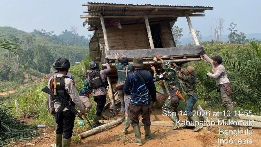 Kementerian Kehutanan kembali menguasai sekitar 300 hektare kawasan hutan yang terindikasi dirambah di Hutan Produksi (HP) Teramang, Kabupaten Mukomuko, Bengkulu, yang merupakan bagian dari Bentang Alam Seblat dan koridor penting Gajah Sumatera. (Dok