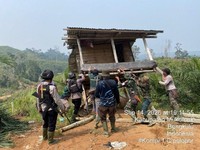Kementerian Kehutanan kembali menguasai sekitar 300 hektare kawasan hutan yang terindikasi dirambah di Hutan Produksi (HP) Teramang, Kabupaten Mukomuko, Bengkulu, yang merupakan bagian dari Bentang Alam Seblat dan koridor penting Gajah Sumatera. (Dok