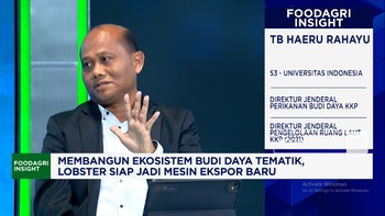 Lobster RI Sukses Diekspor ke Singapura, KKP Kebut Budi Daya 5 Komoditas