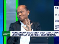 Lobster RI Sukses Diekspor ke Singapura, KKP Kebut Budi Daya 5 Komoditas