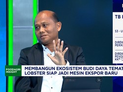 Lobster RI Sukses Diekspor ke Singapura, KKP Kebut Budi Daya 5 Komoditas