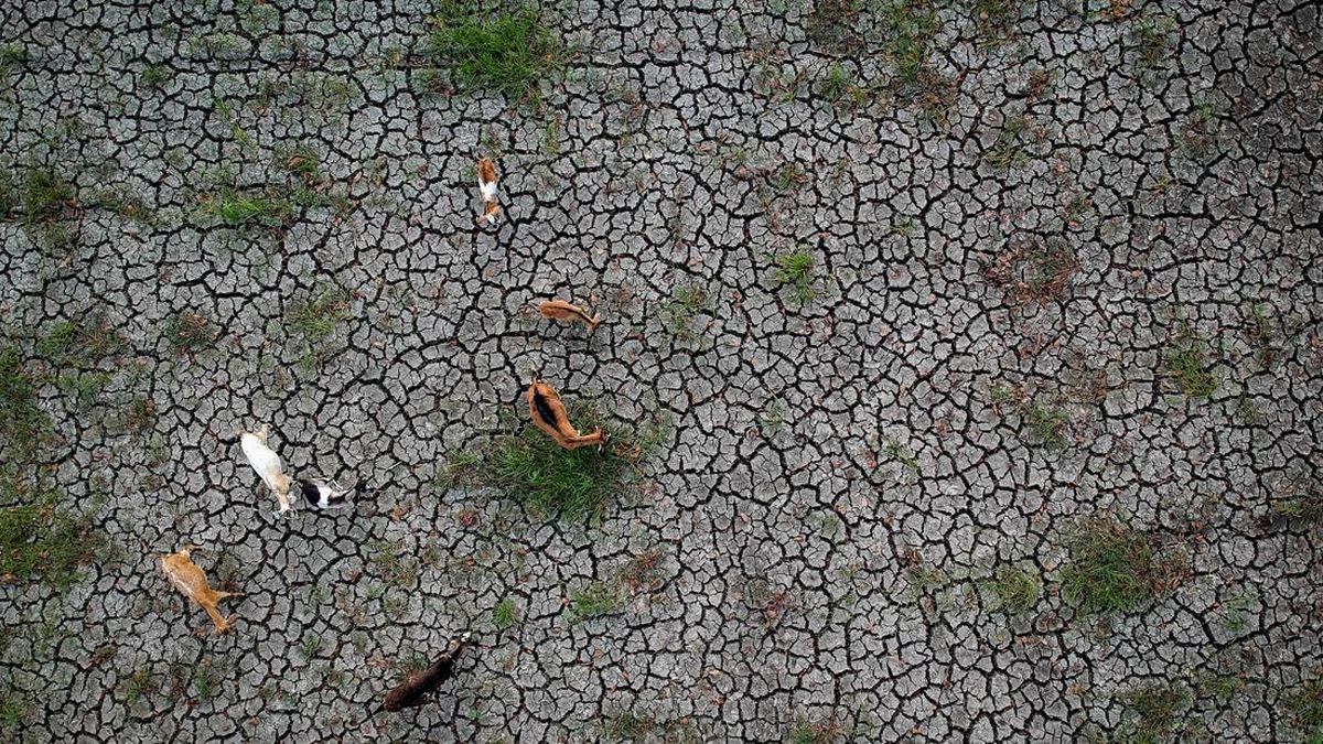 2.897 Hektare Sawah di Banten Terdampak Kekeringan — NadiKabar.com