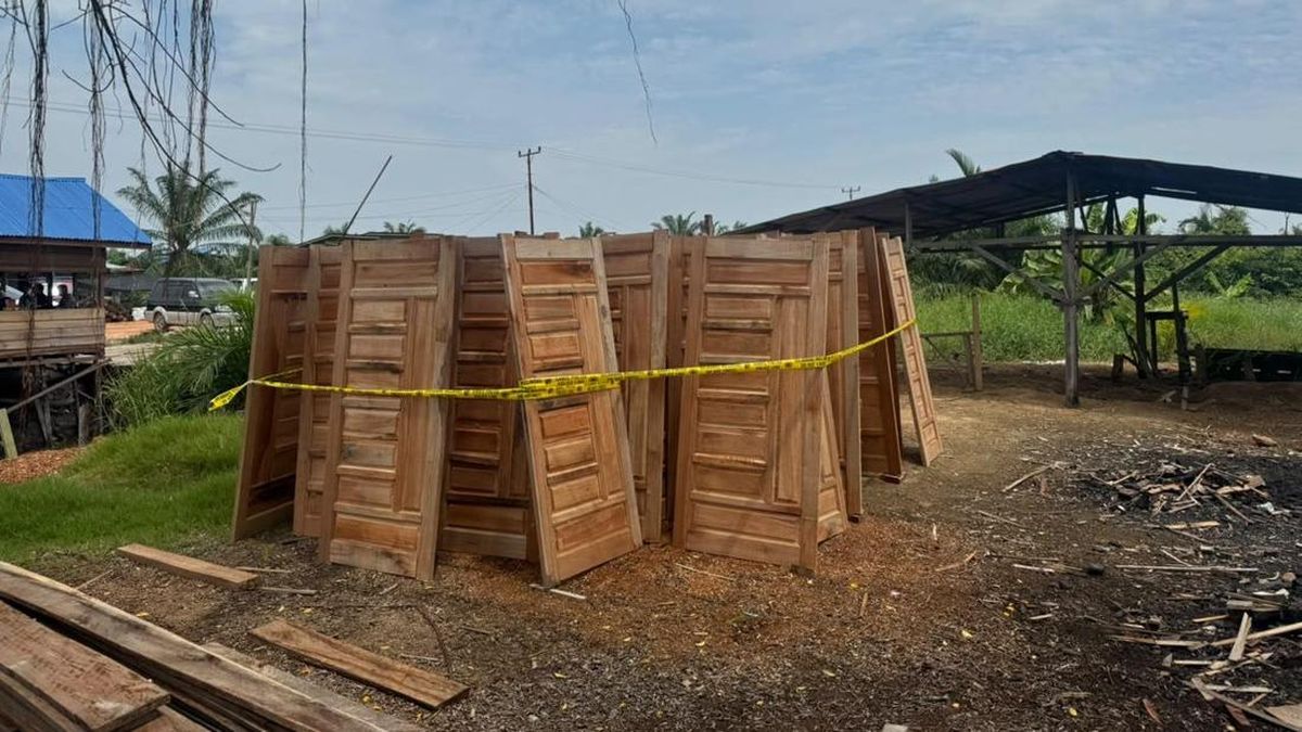 Polres Rohil Bongkar Pengolahan Kayu Illegal Logging, 2 Tersangka Dijerat — NadiKabar.com