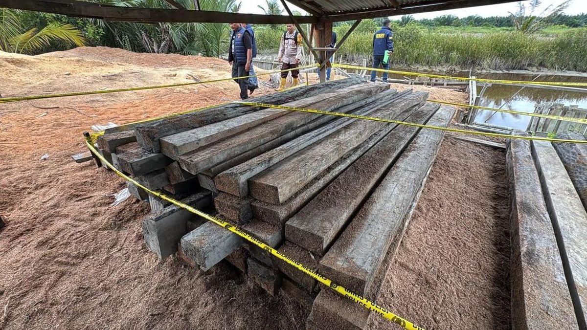 Polres Rohil Sita 20 Ton Kayu Illegal Logging, Sebagian Sudah Jadi Pintu — NadiKabar.com