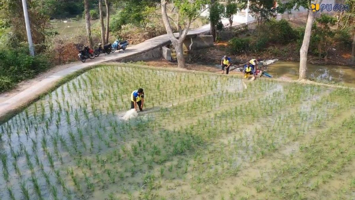 KemenPU Terjunkan 10 Pompa untuk Cegah Kekeringan Sawah di Karawang — NadiKabar.com