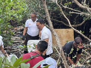 Ratusan Orang Bersih-bersih Sampah di Hutan Mangrove Tahura Ngurah Rai