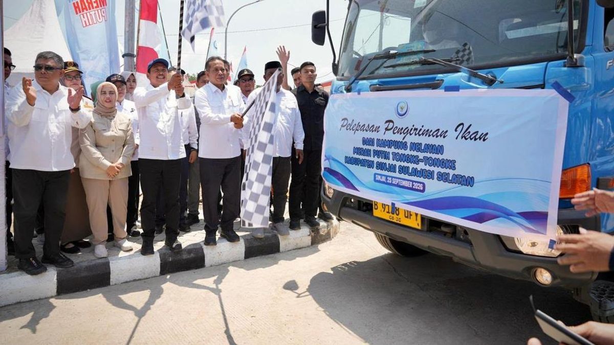 Kemenkop dan KKP Perkuat Usaha Nelayan Lewat Sinergi KDKMP dan KNMP — NadiKabar.com