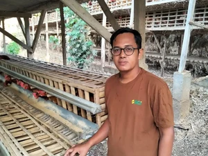 Perjalanan Rohmat, Dari Lulusan FKM Jadi Peternak dengan Omzet Rp 250 Juta