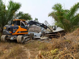 Otorita IKN Ungkap Ada Warga Buka Lahan di Hutan, Lalu Bangun Pondok-Kebun