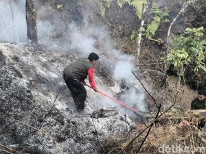 Karhutla Tak Kunjung Padam, 977,74 Hektare TN Gunung Rinjani Terdampak