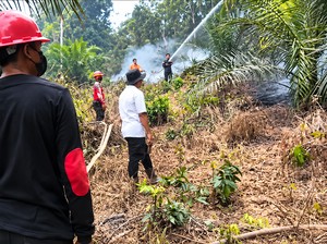 Karhutla Kembali Membara di Muaro Jambi, Satgas Lakukan Pemadaman
