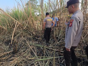 Misteri Wanita Sisa Kerangka di Kebun Tebu Boalemo Diduga Dibunuh
