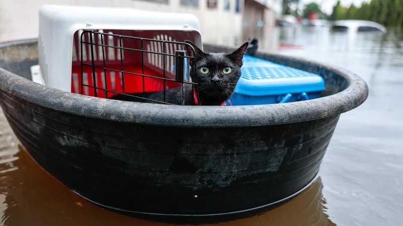 ASIA-WEATHER/THAILAND-FLOODS