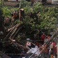 People sit on a tree that has been uprooted by a severe storm in Gorakhpur, Uttar Pradesh, India, September 27, 2026. REUTERS/Stringer