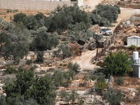 Jelang panen buah zaitun Oktober mendatang, buldoser militer Israel secara tiba-tiba meratakan sekitar 31 ribu meter persegi lahan milik petani Palestina, Kamis (24/9/2026). (REUTERS/Ali Sawafta)