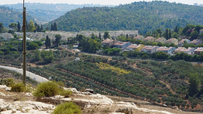 Jelang panen buah zaitun Oktober mendatang, buldoser militer Israel secara tiba-tiba meratakan sekitar 31 ribu meter persegi lahan milik petani Palestina, Kamis (24/9/2026). (REUTERS/Ali Sawafta)