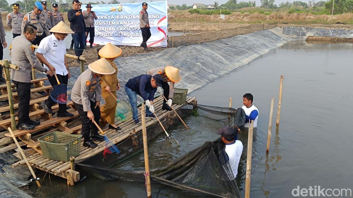 Tambak Ikan dan Udang di Muara Gembong Dukung Rantai Pasok SPPG Polda Metro — NadiKabar.com