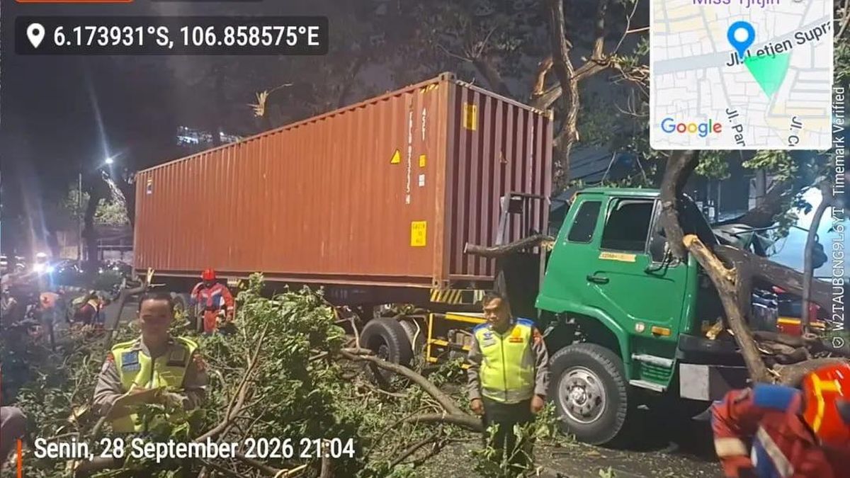 Ilustrasi berita Nasional: Truk Tabrak Pohon di Cempaka Putih Jakpus hingga Tumbang, Lalin Macet