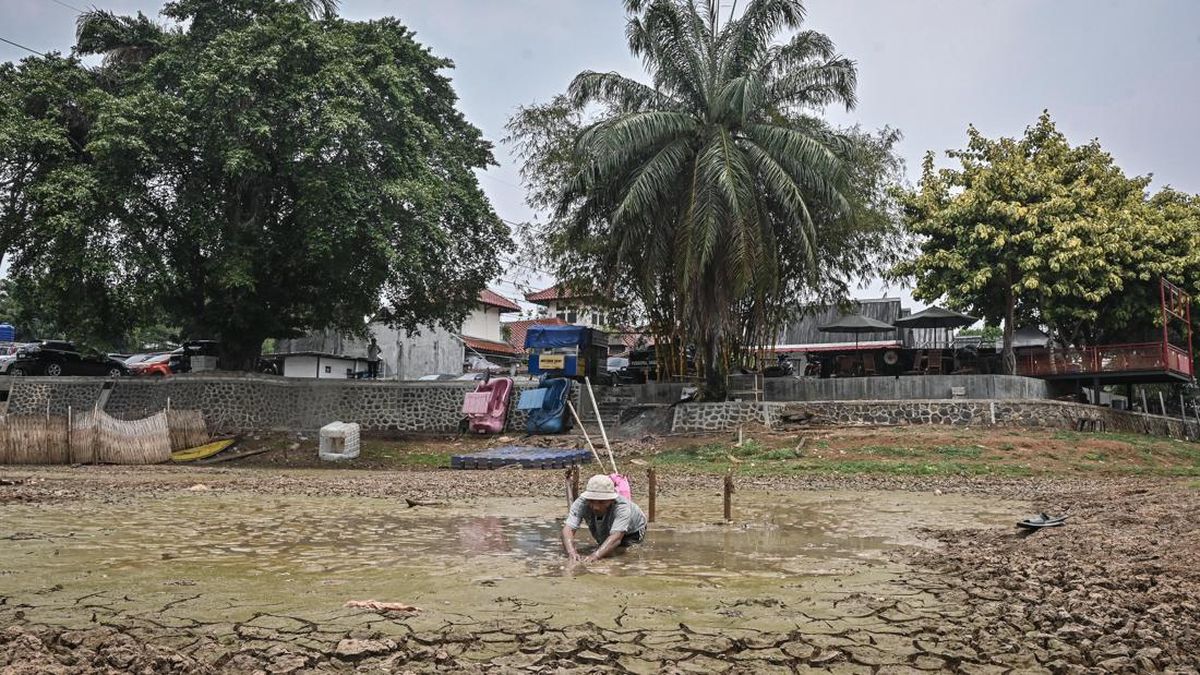 Kekeringan Dampak El Nino Diprediksi Segera Berakhir — NadiKabar.com