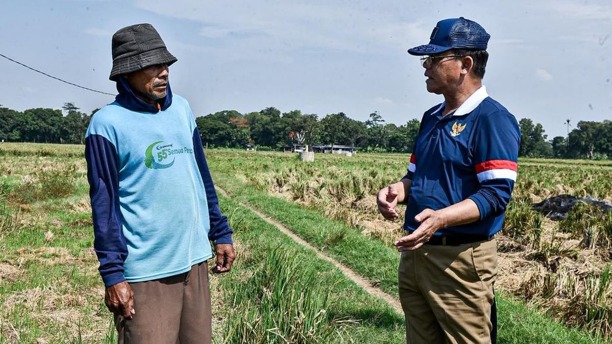 Utusan Khusus Presiden Puji Peran Petani Jaga Ketahanan Pangan RI — NadiKabar.com