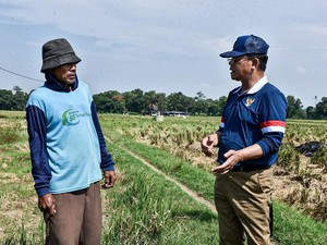Utusan Khusus Presiden Puji Peran Petani Jaga Ketahanan Pangan RI