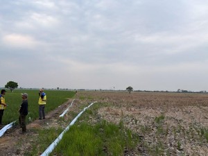 Kementerian PU Operasikan 3 Pompa Atasi Kekeringan Sawah di Bekasi