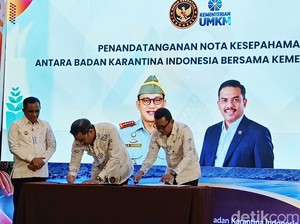 Menteri UMKM Dorong Durian Sulteng Kuasai Pasar China