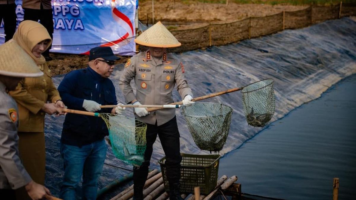 Dukung Ketahanan Pangan, Polda Metro Panen 10 Ton Ikan-Udang di Muara Gembong — NadiKabar.com
