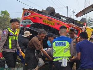 Bus Terguling di Mesuji Lampung, 3 Orang Tewas dan 29 Luka Ringan