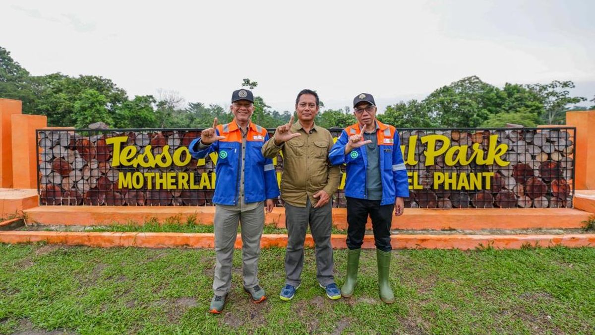 Rehabilitasi DAS 772 Hektare di TN Tesso Nilo, PT BSP Dukung Keberlanjutan — NadiKabar.com