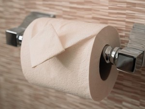Ternyata Ini Alasan Orang Amerika Lebih Pilih Pakai Tisu Toilet daripada Air