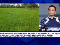 Ikut AUTP Kementan, Petani Jawa Tengah Berhasil Klaim Asuransi Kerugian Rp 7,1 Miliar