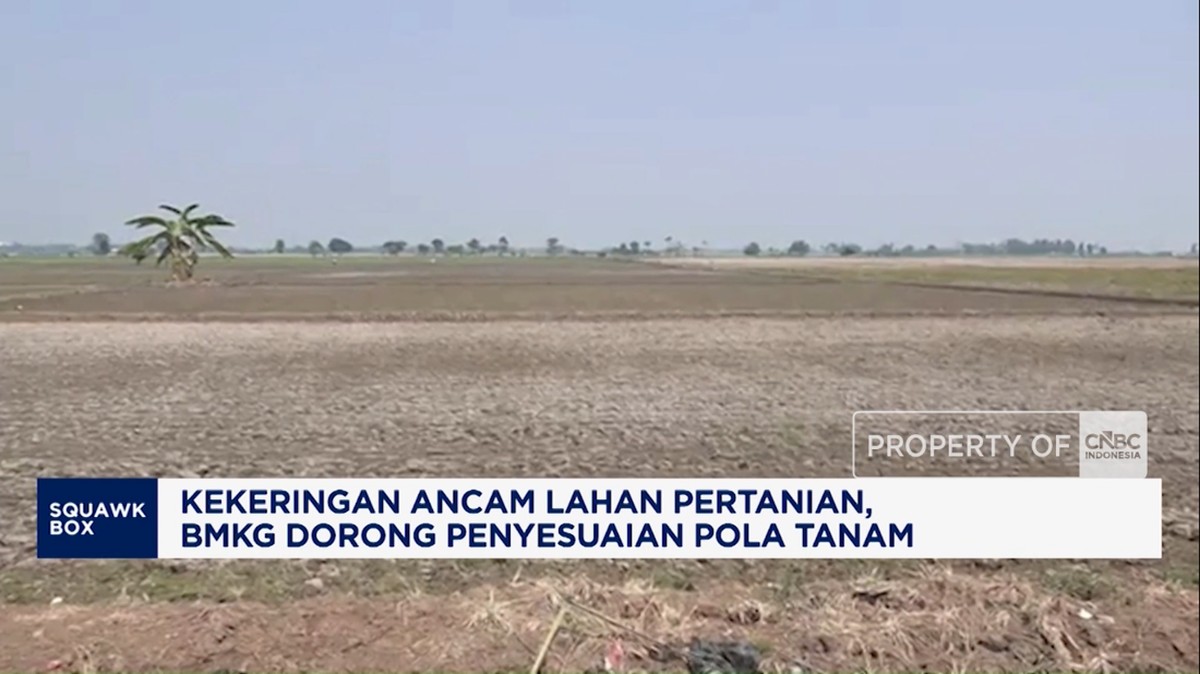 Video: Kekeringan Ancam Pertanian, BMKG Dorong Penyesuaian Pola Tanam