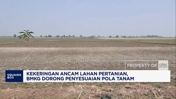 Kekeringan Ancam Pertanian, BMKG Dorong Penyesuaian Pola Tanam