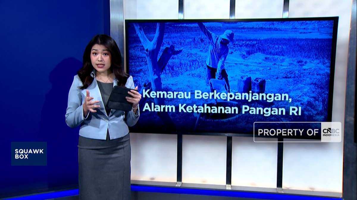 Video: Kemarau Berkepanjangan, Ketahanan Pangan RI dalam Bahaya?