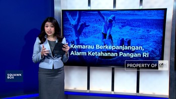 Kemarau Berkepanjangan, Ketahanan Pangan RI dalam Bahaya?
